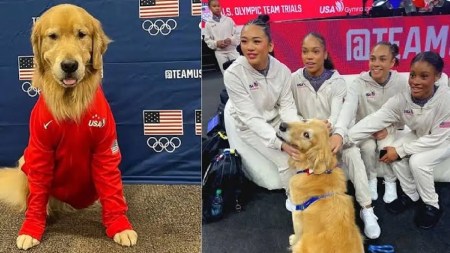 beacon-olimpicos-perroterapia