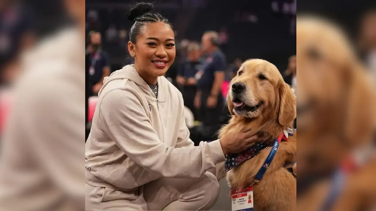 beacon-olimpicos-perroterapia1