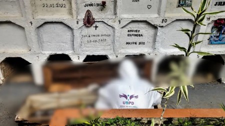 cuerpos-ubpd-briceño1