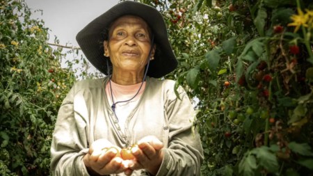 ecohuertas-seguridad alimentaria