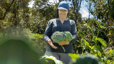 ecohuertas-valledeaburra