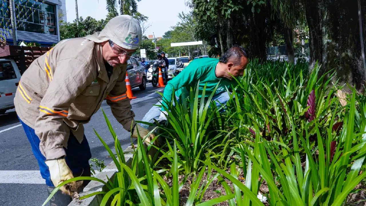esapcios-verdes-envigado1
