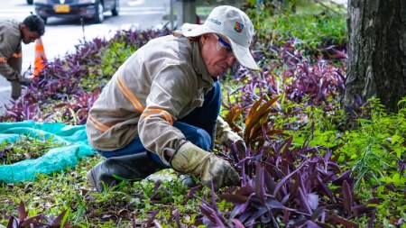 esapcios-verdes-envigado2