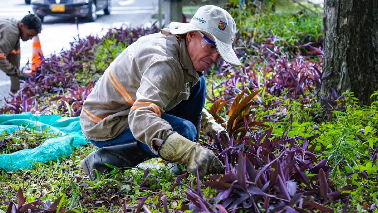 esapcios-verdes-envigado2