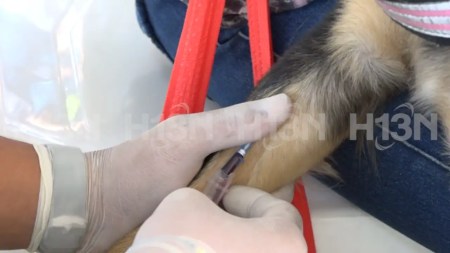 jornadas-de-esterilizacion
