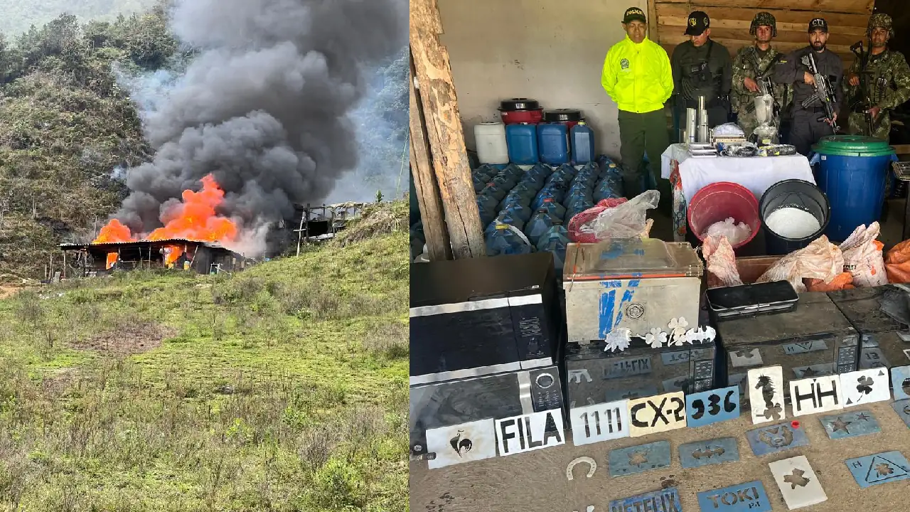 laboratorio coca ferrer