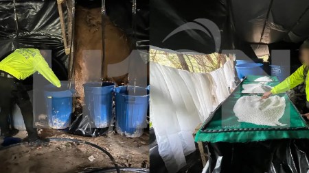 laboratorio-granada-coca