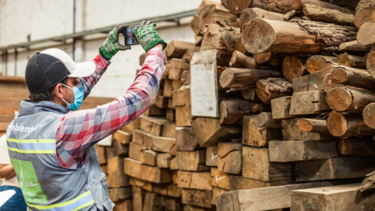 madera area metropolitana