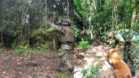 minasantipersonal-segovia-anori1