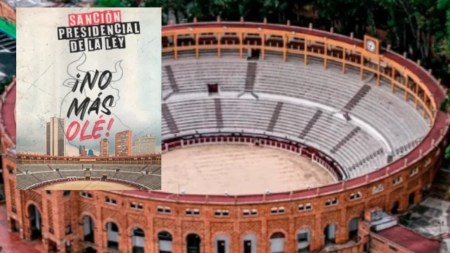 no-mas-corridas-toro