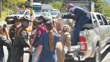 perros rescatados en El Retiro