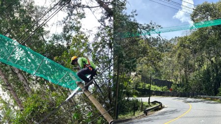 puentes-faunasilvestre-elretiro