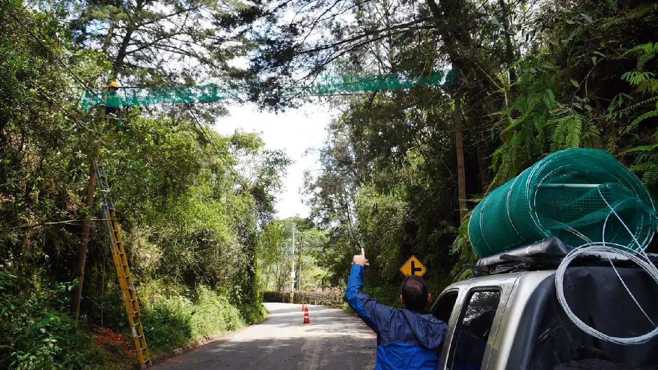 puentes-faunasilvestre-elretiro1