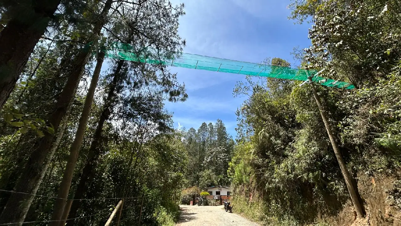 puentes-faunasilvestre-elretiro2