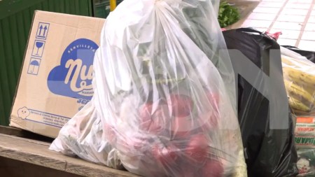 reacciones-plasticos-de-un-solo-uso