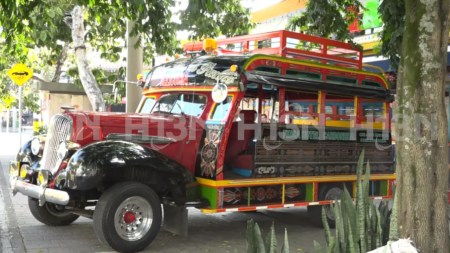 regresa-desfile de chivas y flores