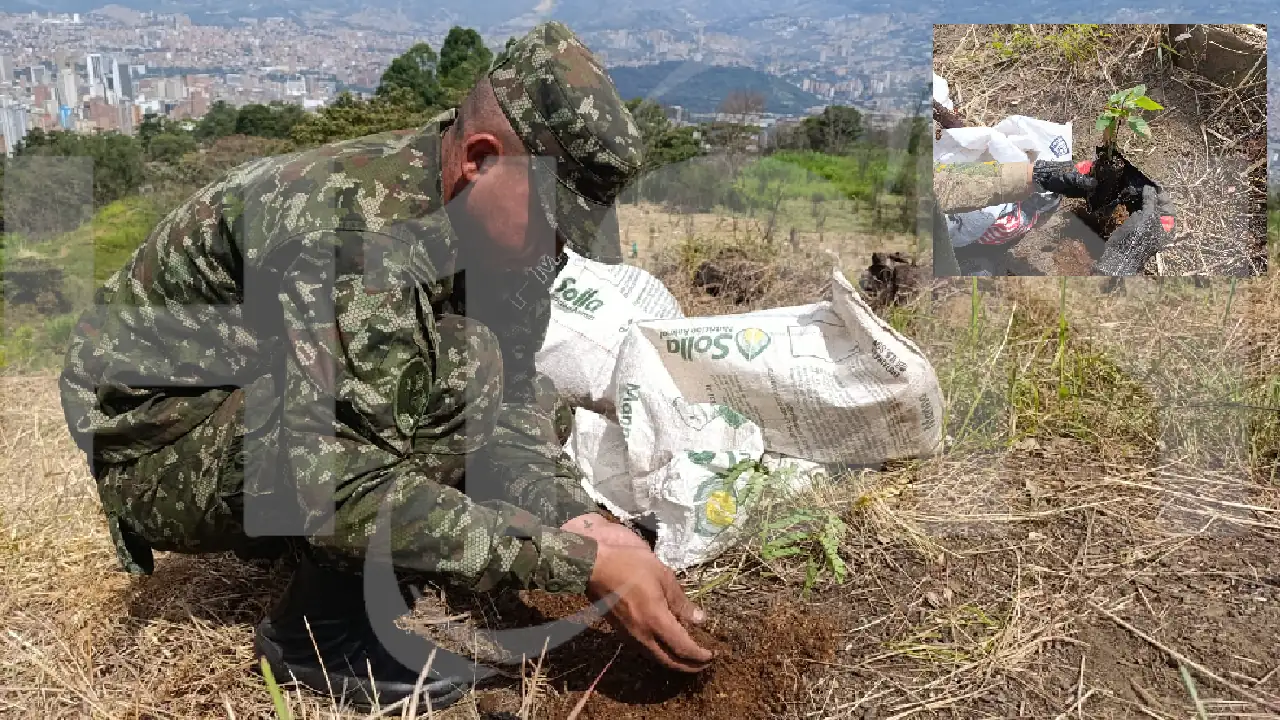 siembraton-medellin-ejercito