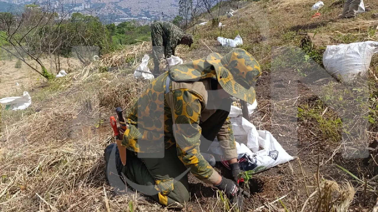 siembraton-medellin-ejercito1