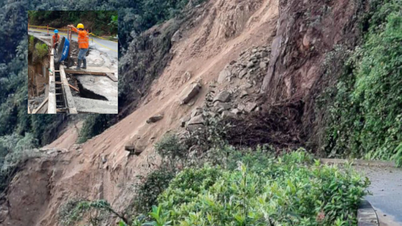 via Narino Sonson 1 1