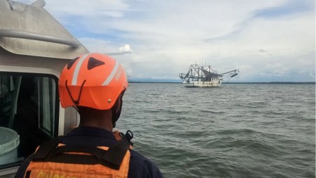 Armada incauta más de 50 kilogramos de pesca en el Golfo de Urabá