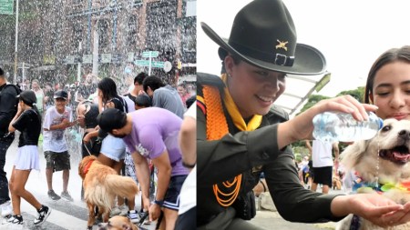 Caminata Canina en la Feria de las Flores 2024: Los peluditos disfrutan de su evento