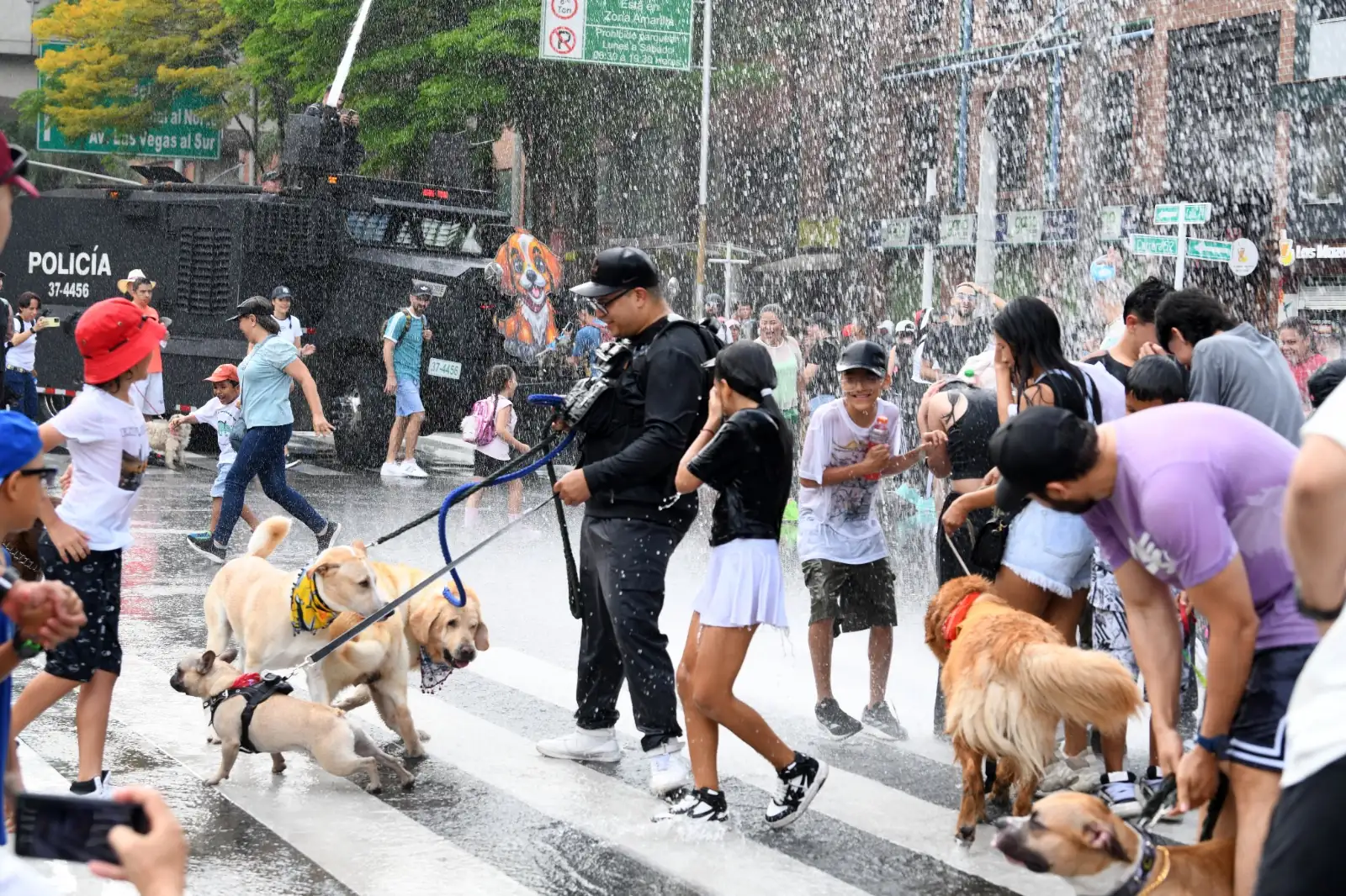Caminata Canina en la Feria de las Flores 2024: Los peluditos disfrutan de su evento