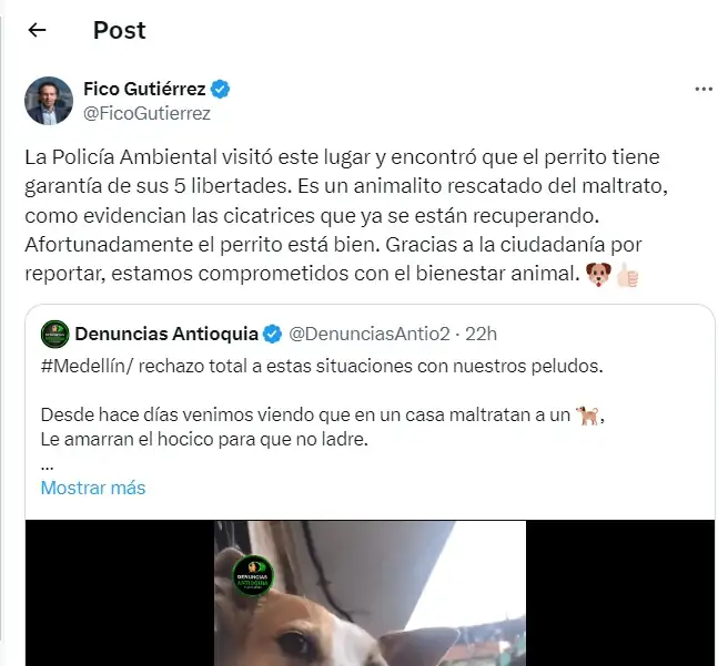 Rescatan a perrito que amarraban del hocico para que no ladrara en Medellín