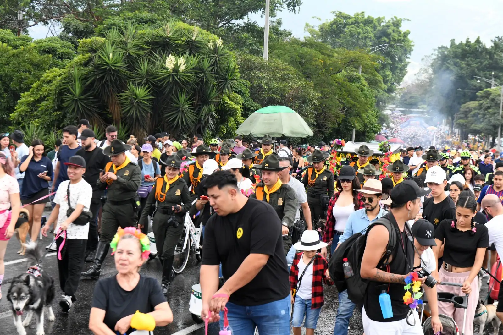 Caminata Canina en la Feria de las Flores 2024: Los peluditos disfrutan de su evento