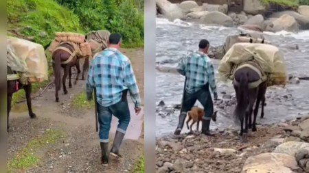 campesino travesia productos narino