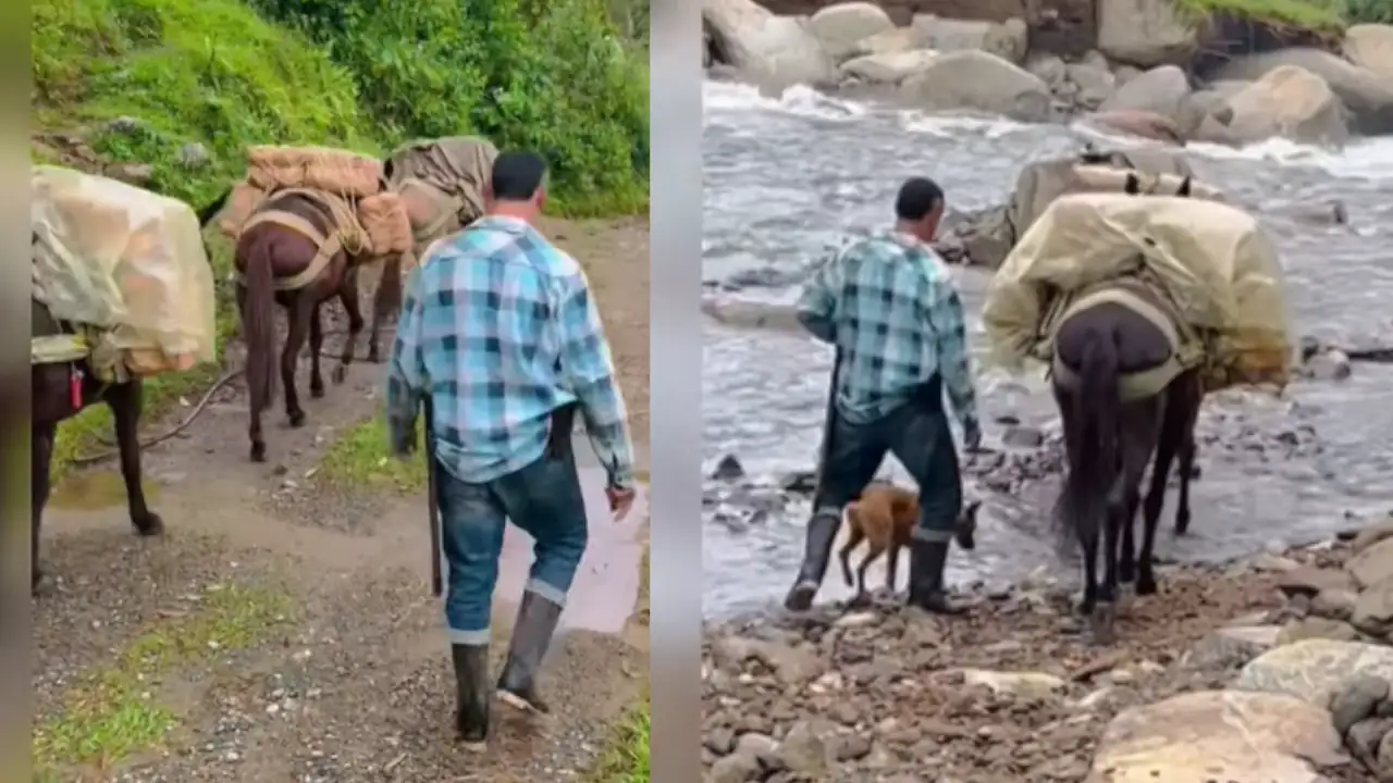 campesino travesia productos narino