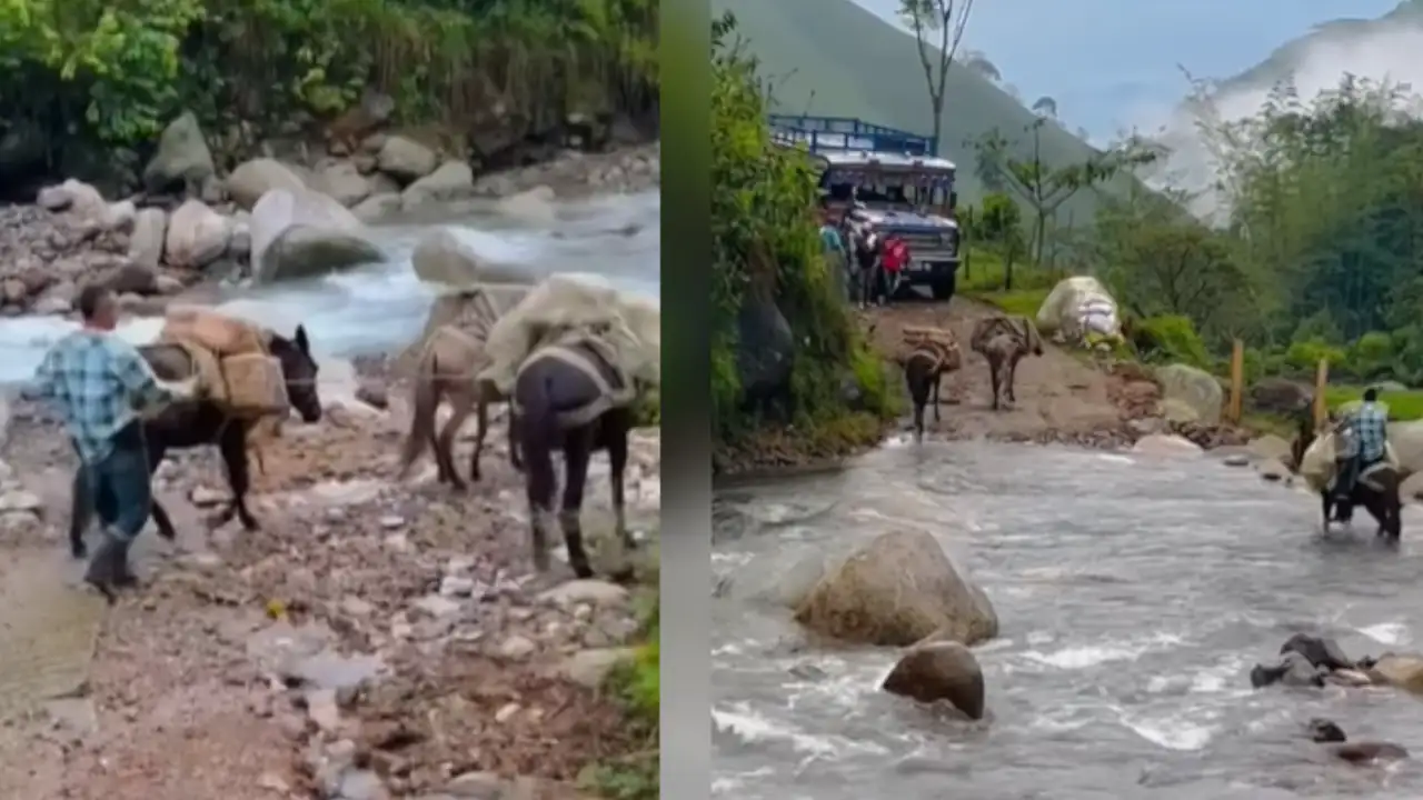 campesino-travesia-productos-nariño1