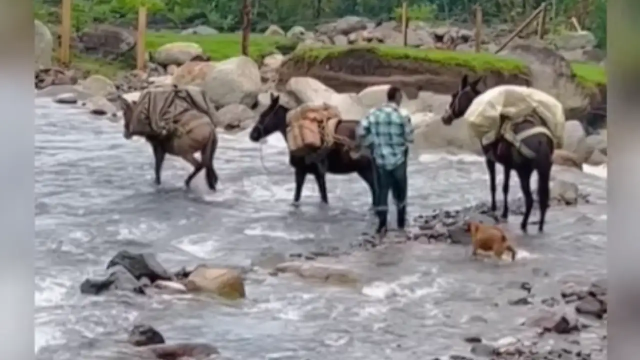 campesino-travesia-productos-nariño3