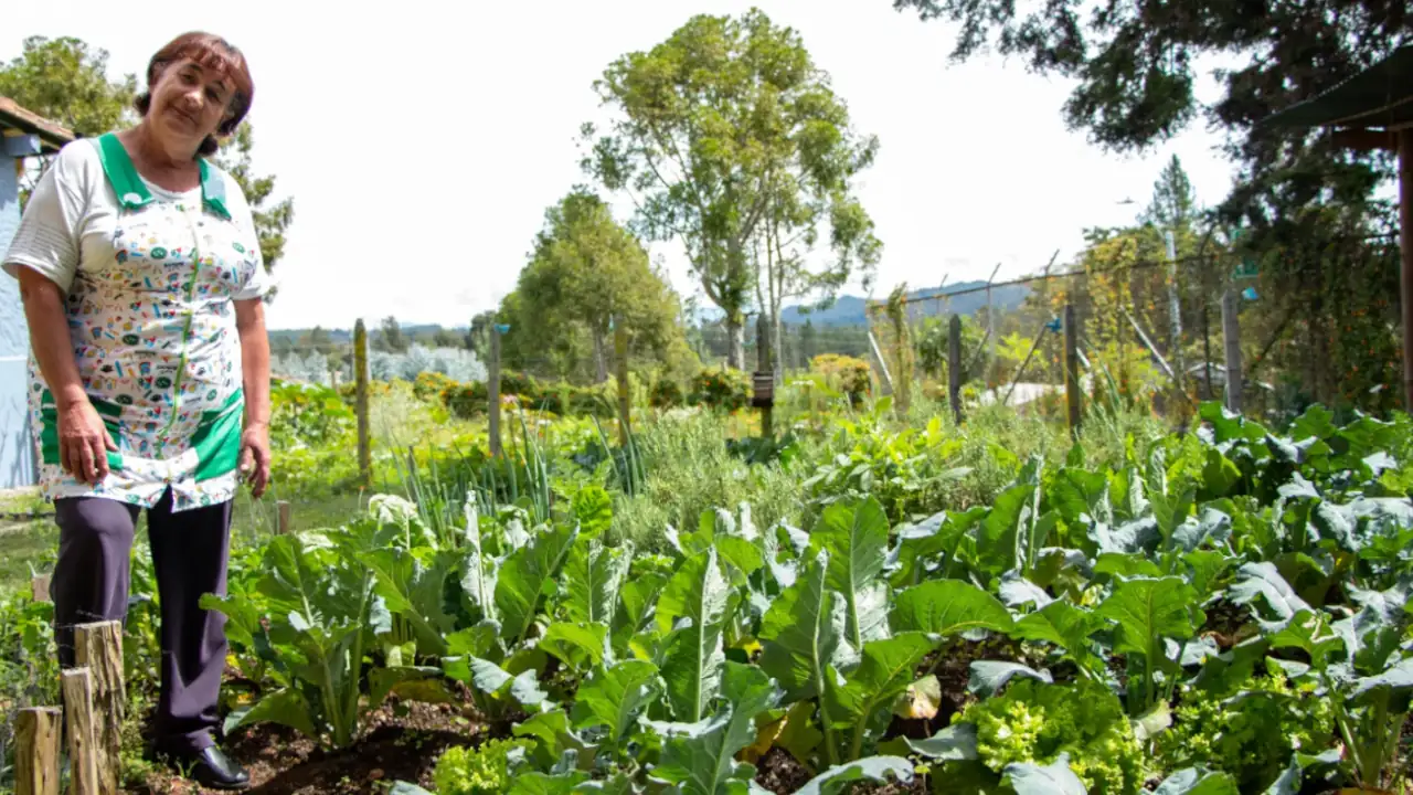 convenio-seguridad-alimentaria-de-Medellín