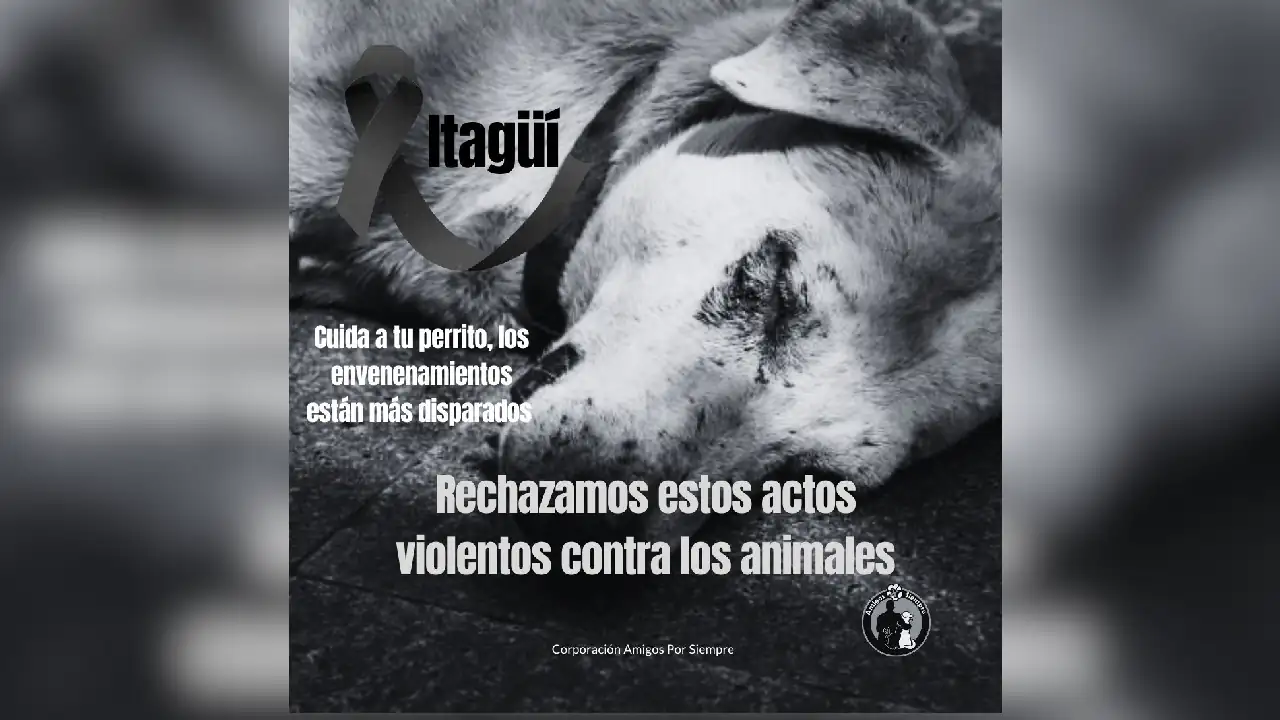 envenenamiento-masivo-perros-itagui1