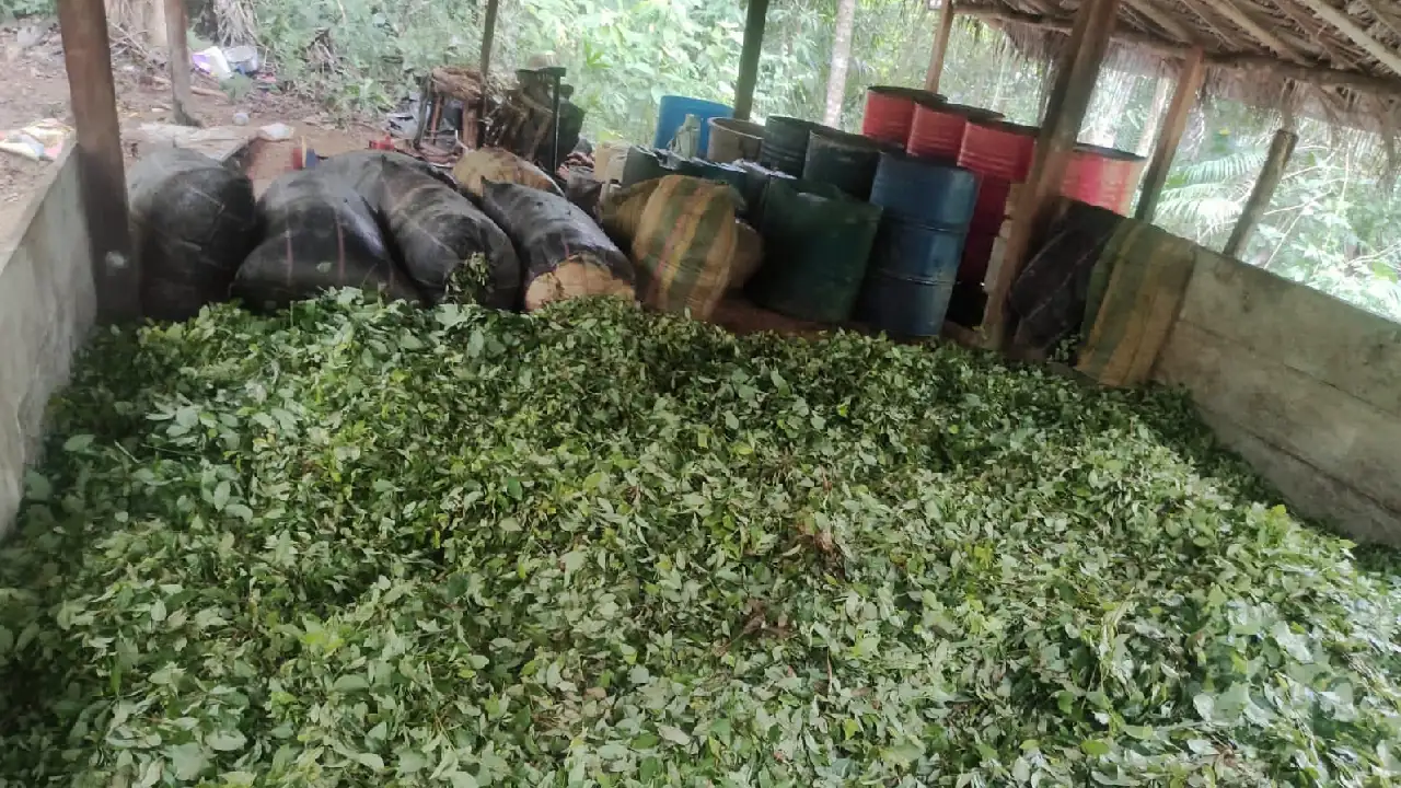 laboratorios coca antioquia cordoba