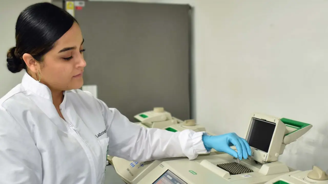 Científicos de UdeA desarrollan modelo predictivo para mejorar tratamientos contra la tuberculosis