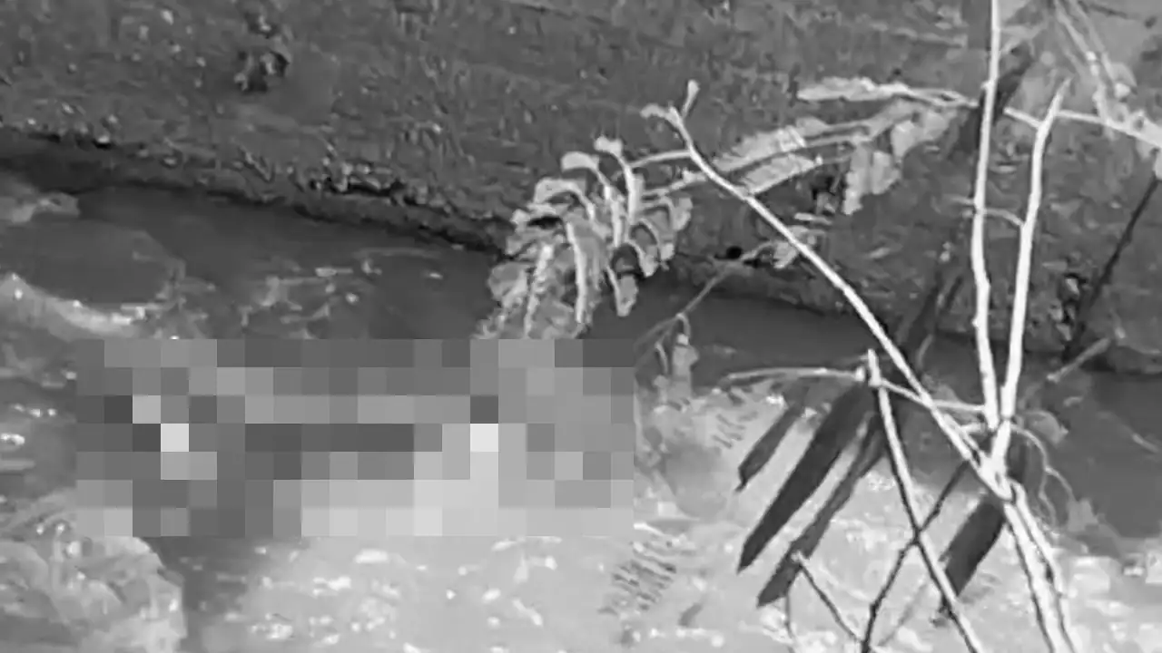 Mujer sin vida apreció flotando en canalización al norte de la Minorista