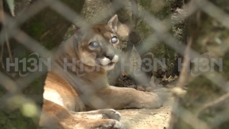 Parque-de-la-Conservación