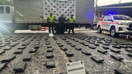 Policía descubre 200 Kilos de marihuana encaletados en un camión que se movilizaba en La Pintada