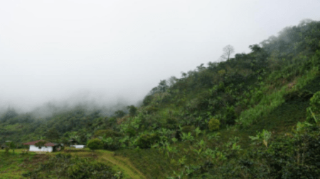 Restitución de Tierras