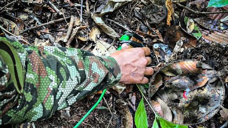 artefacto-explosivo-segovia-hallazgo-ejercito