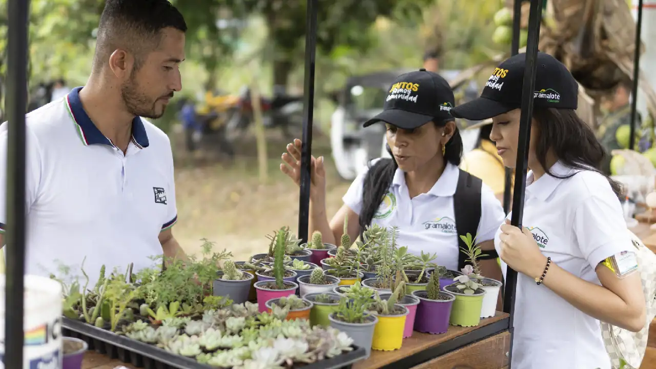 copa-atletico-nacional-gramalote-sanroque4
