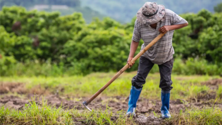 El DANE reveló que la economía colombiana creció 3,68% en julio de 2024 economía-dane-agro-creminiento