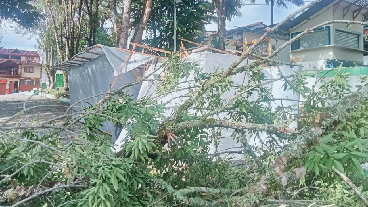 Emergencia en Argelia, Antioquia, cerca de 250 casas se quedaron sin techo tras fuerte vendaval 3 emergencia-municipio-argelia-vendaval2