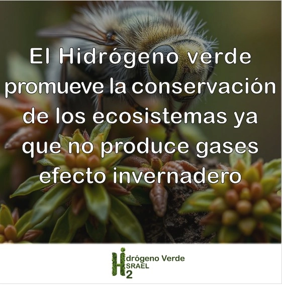 hidrogeno verde1