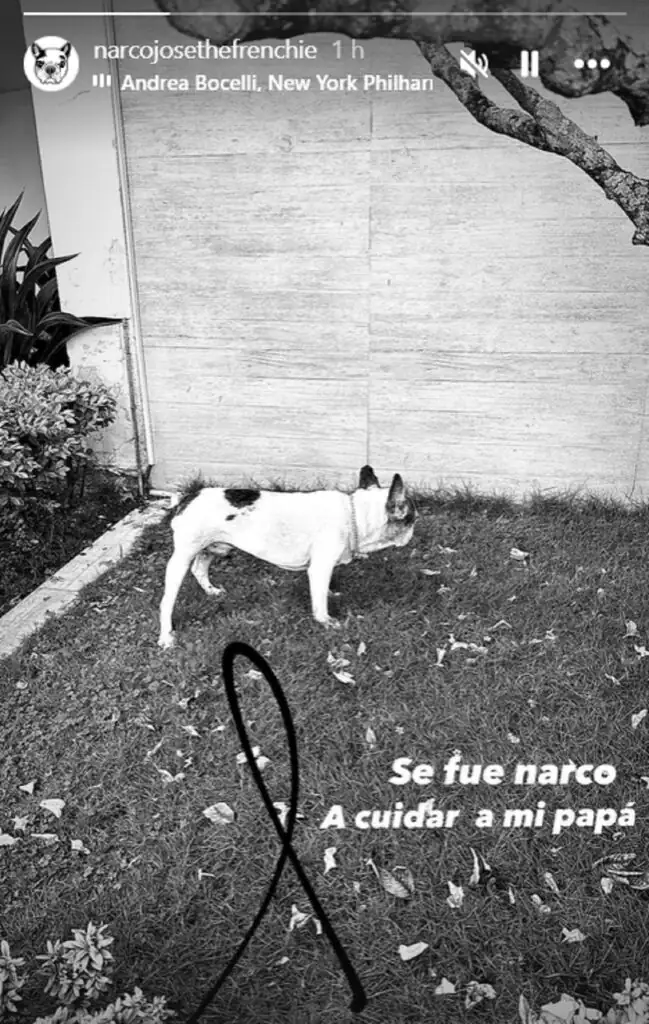 narco perro rodolfo