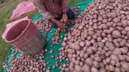perdida-cultivos-causa-paro-camioneros-agricultores-la-union