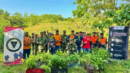 reforestacion-ejercito-bajocauca-cordoba