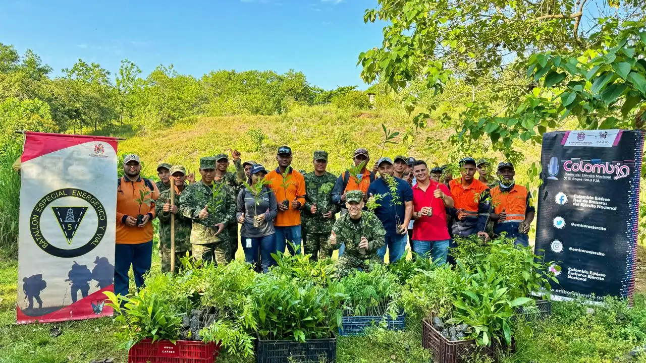 reforestacion-ejercito-bajocauca-cordoba