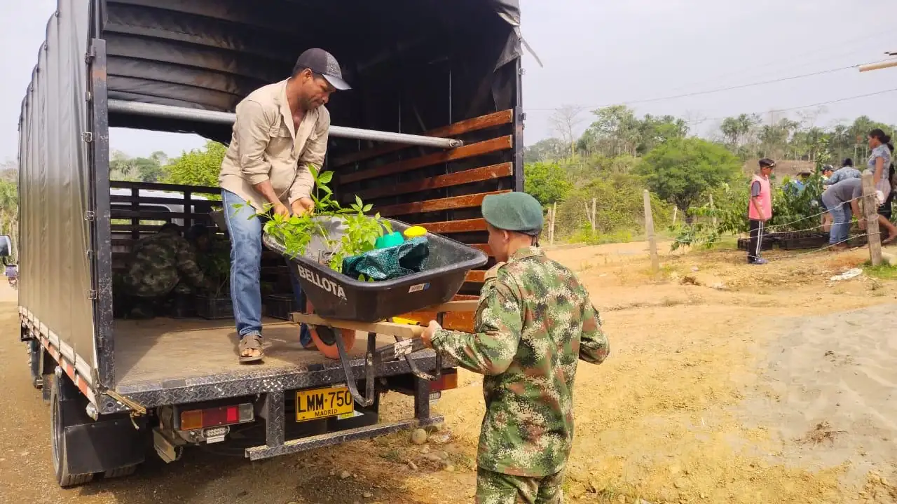 reforestacion-ejercito-bajocauca-cordoba1